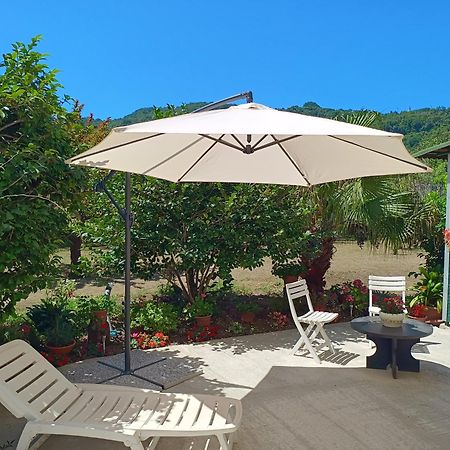 Vila Sunny House Carasco Exteriér fotografie