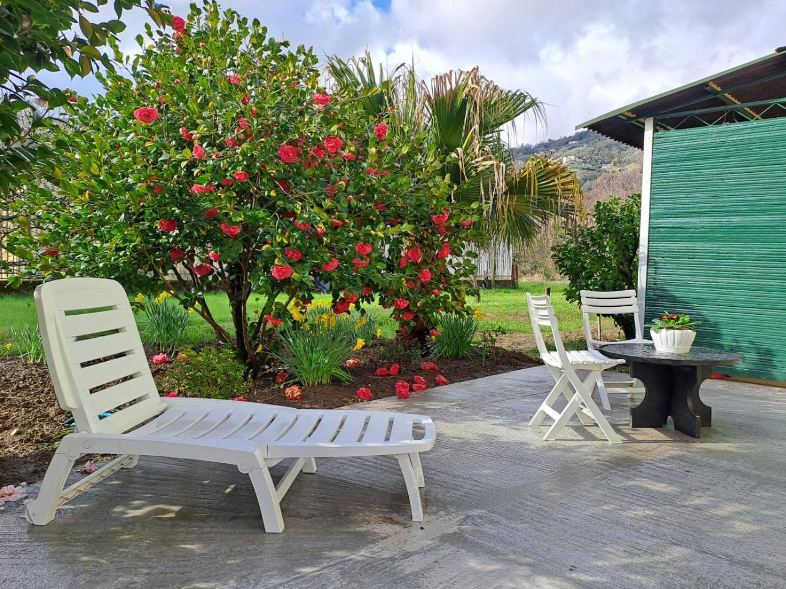 Vila Sunny House Carasco Exteriér fotografie