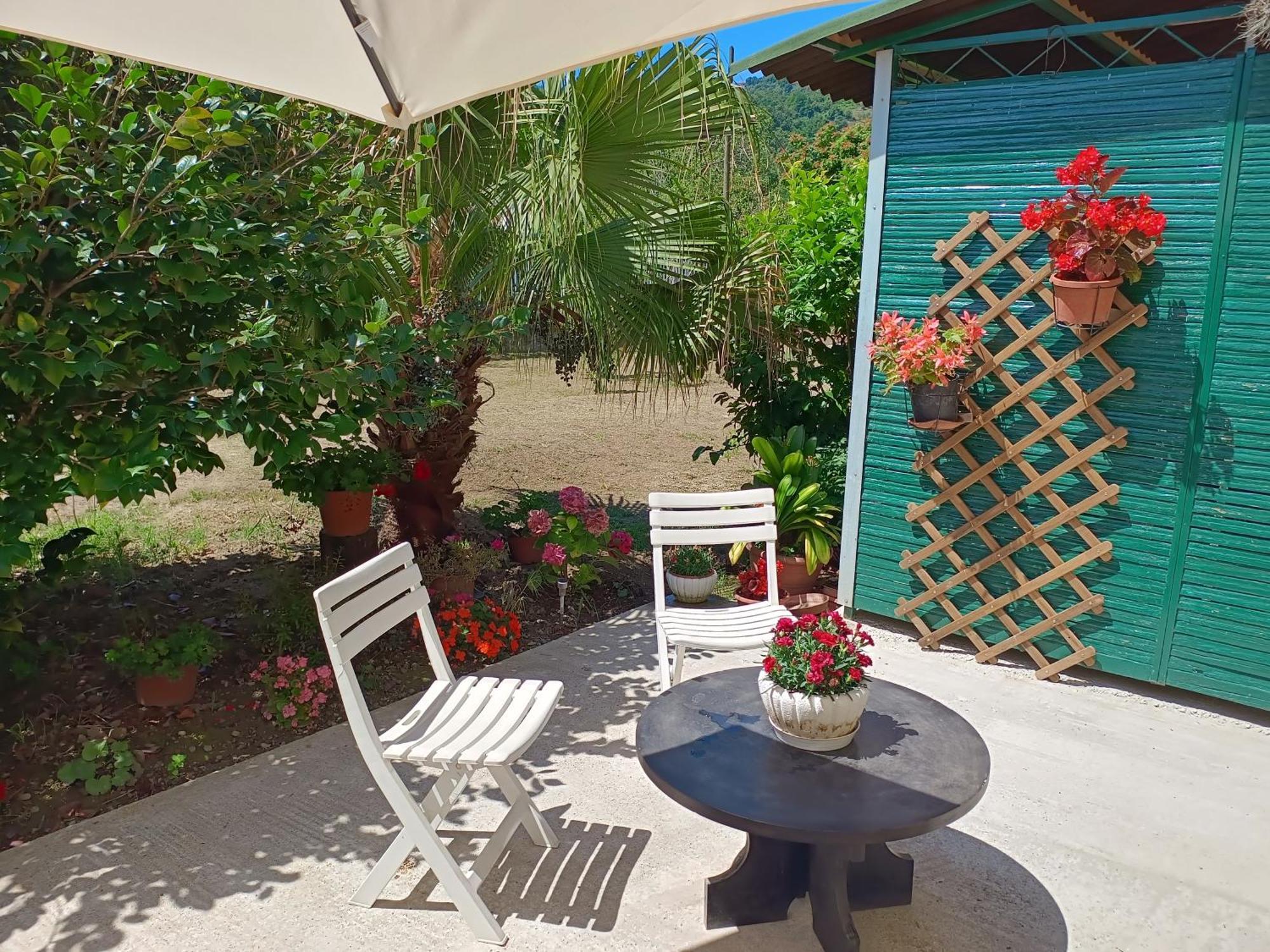Vila Sunny House Carasco Exteriér fotografie
